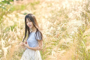 上海新茶工作室：打破数字鸿沟：上海行动计划